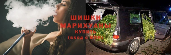 шишки Аркадак