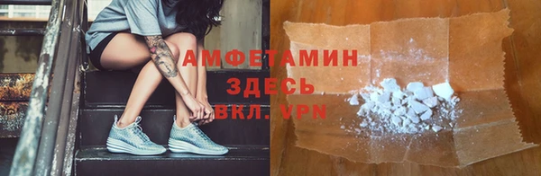 шишки Аркадак