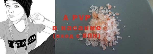 шишки Аркадак
