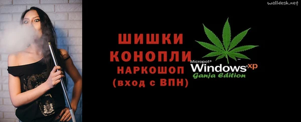 шишки Аркадак