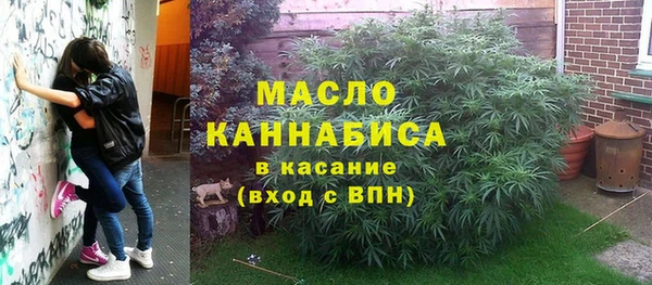 шишки Аркадак